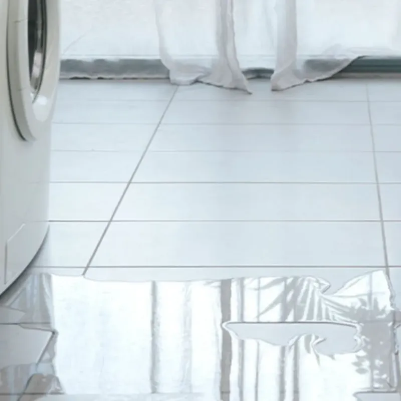 Appliance Leak Cleanup in Caldwell, OH