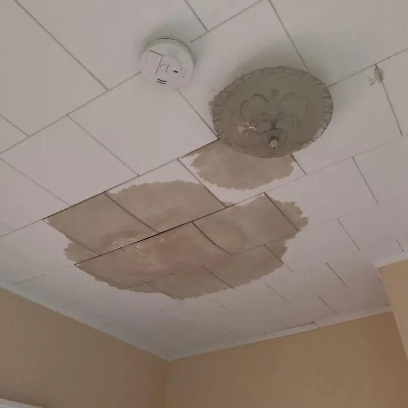 Ceiling Water Damage Repair in Caldwell, OH