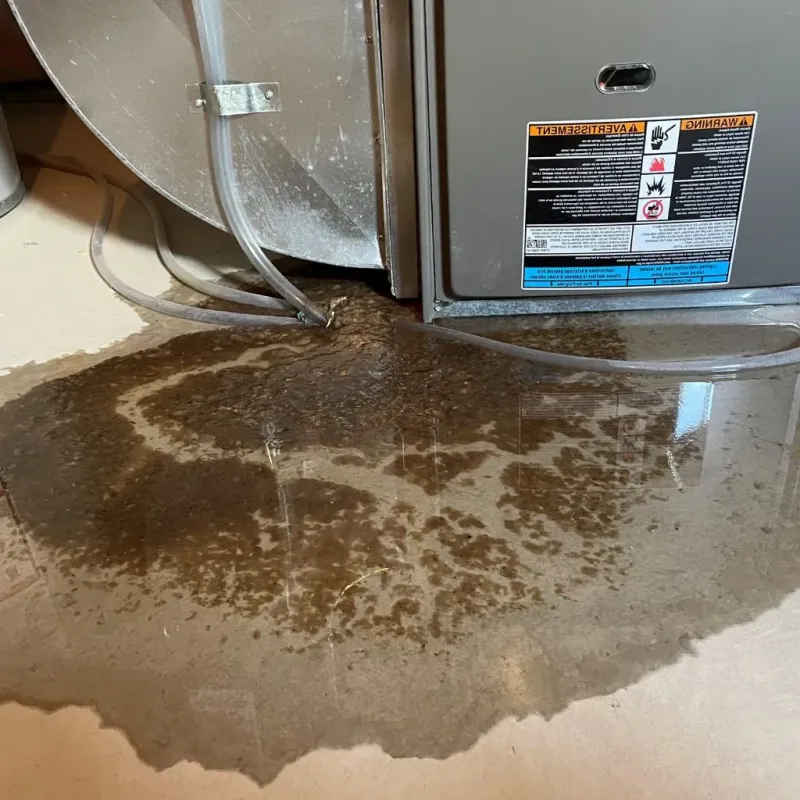 Pipe Burst and Leak Restoration in Caldwell, OH
