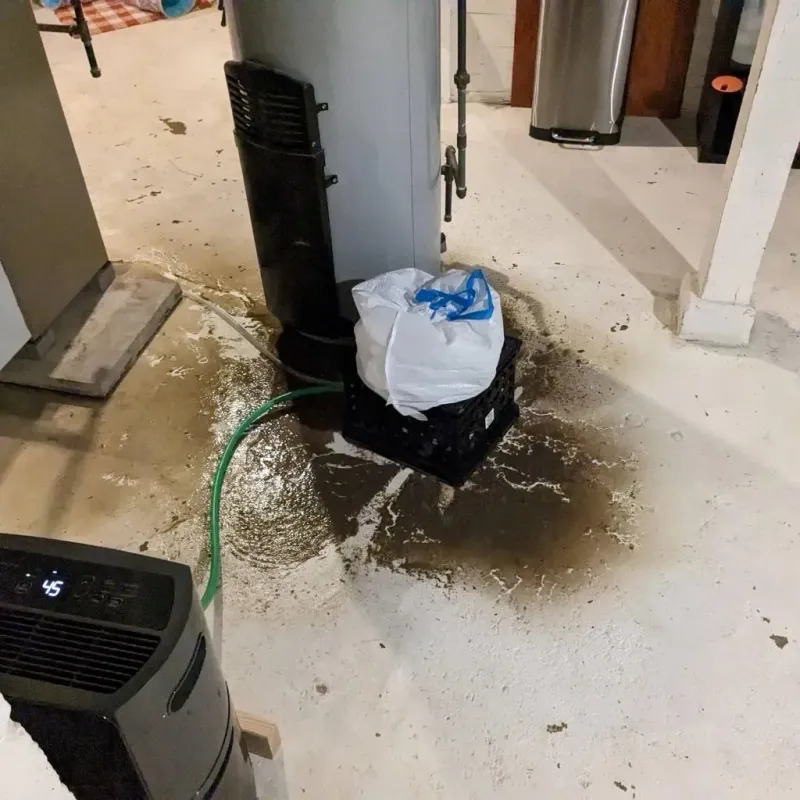 Sewage Backup Cleanup Service in Caldwell, OH